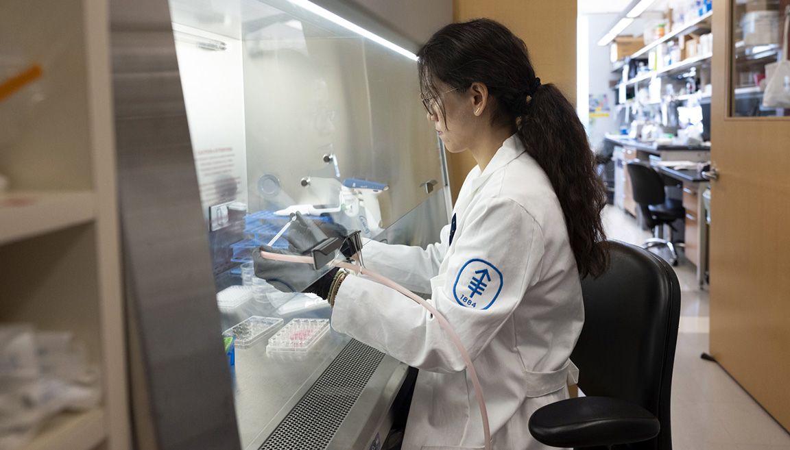 Harnessing the immune system 